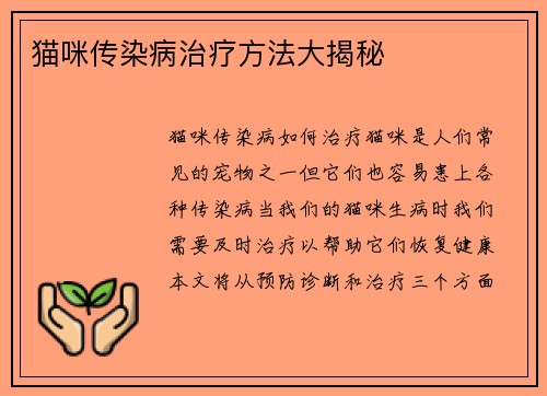 猫咪传染病治疗方法大揭秘