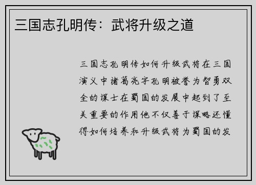三国志孔明传：武将升级之道