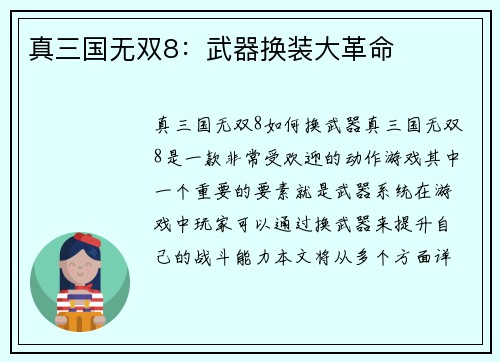 真三国无双8：武器换装大革命